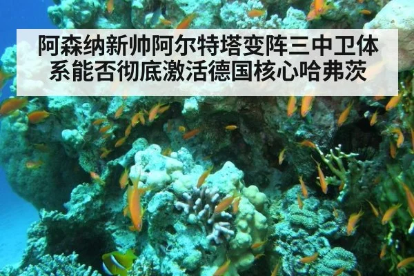 阿森纳新帅阿尔特塔变阵三中卫体系能否彻底激活德国核心哈弗茨
